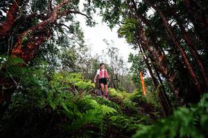 BIB: 
                            <button type="button" onclick="openModal(26202833)" class="btn btn-primary btn-sm float-right btn-popup" data-toggle="modal" data-target=".modal-high-quality">
                        <i class="fas fa-shopping-cart"></i> Add to Cart
                    </button>
                                            <button type="button" onclick="isThisMe(26202833, true)" class="btn btn-success btn-sm float-right btn-popup btn-isme hidden" data-toggle="tooltip" data-placement="bottom" title="นี่คือรูปของคุณใช่ไหม คลิกที่นี่เพื่อเอาเข้าอัลบั้ม">
                        <i class="fas fa-plus"></i> Add to album
                    </button>
                    <button type="button" onclick="isThisMe(26202833, false)" class="btn btn-warning btn-sm float-right btn-popup btn-isnotme hidden">
                        <i class="fas fa-ban"></i> Remove from album
                    </button>